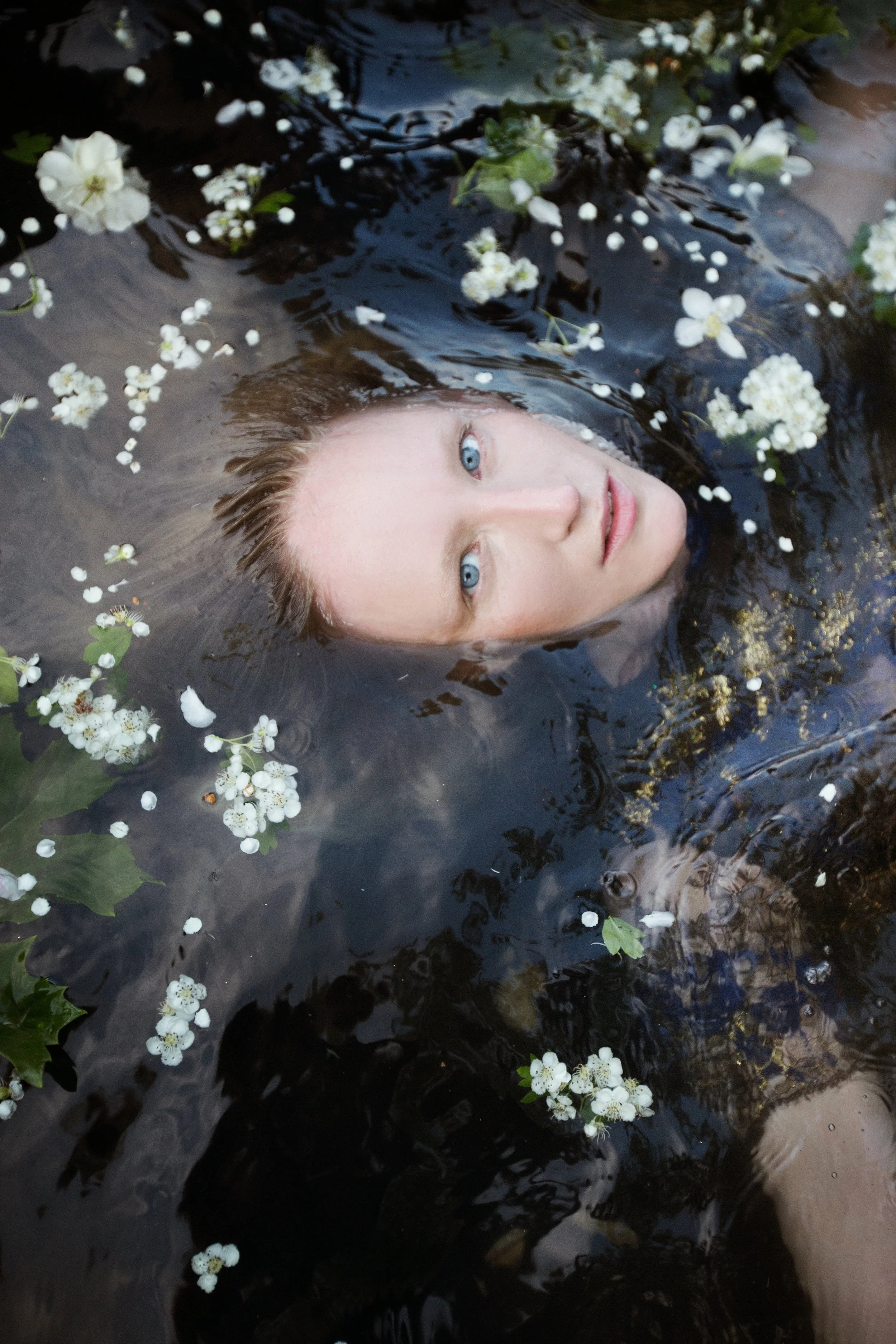 There is a Willow Grows Asland a Brook