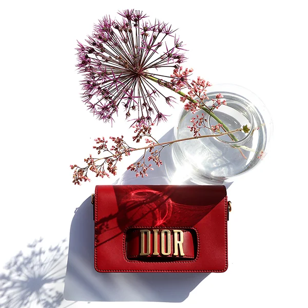 Wylde Loves: Dior Pre-Fall 2017