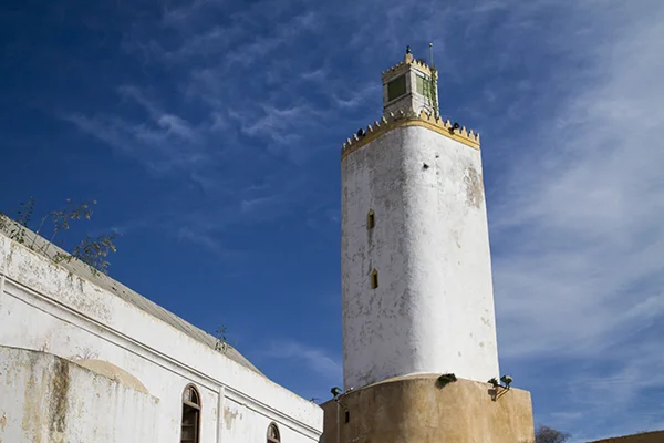 el-jadid-9-56e688db6f475.jpg