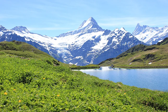 swiss-summer-9-57bec101d51c0.jpg