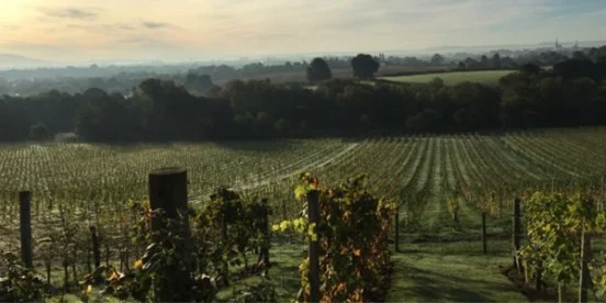 Wylde World: Hencote, Shropshire