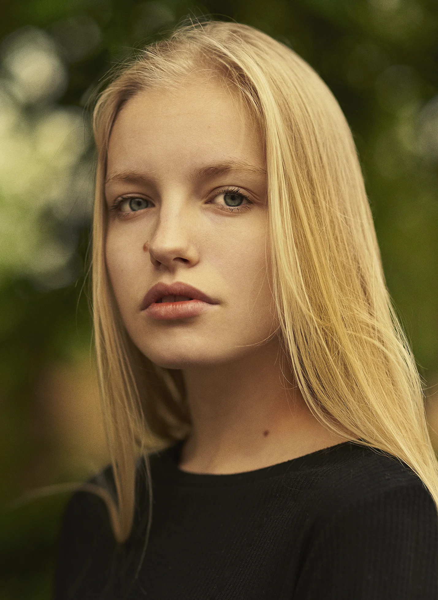 Wylde Girls: Lola Evans