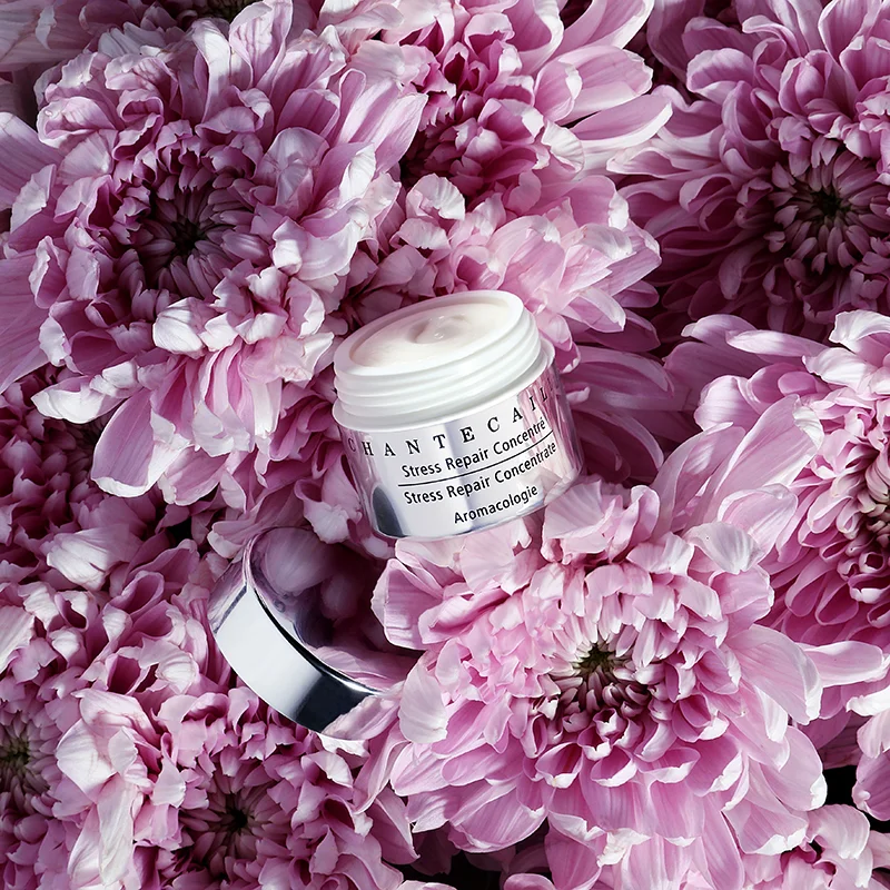 CHANTECAILLE IN FLOWERS.jpg