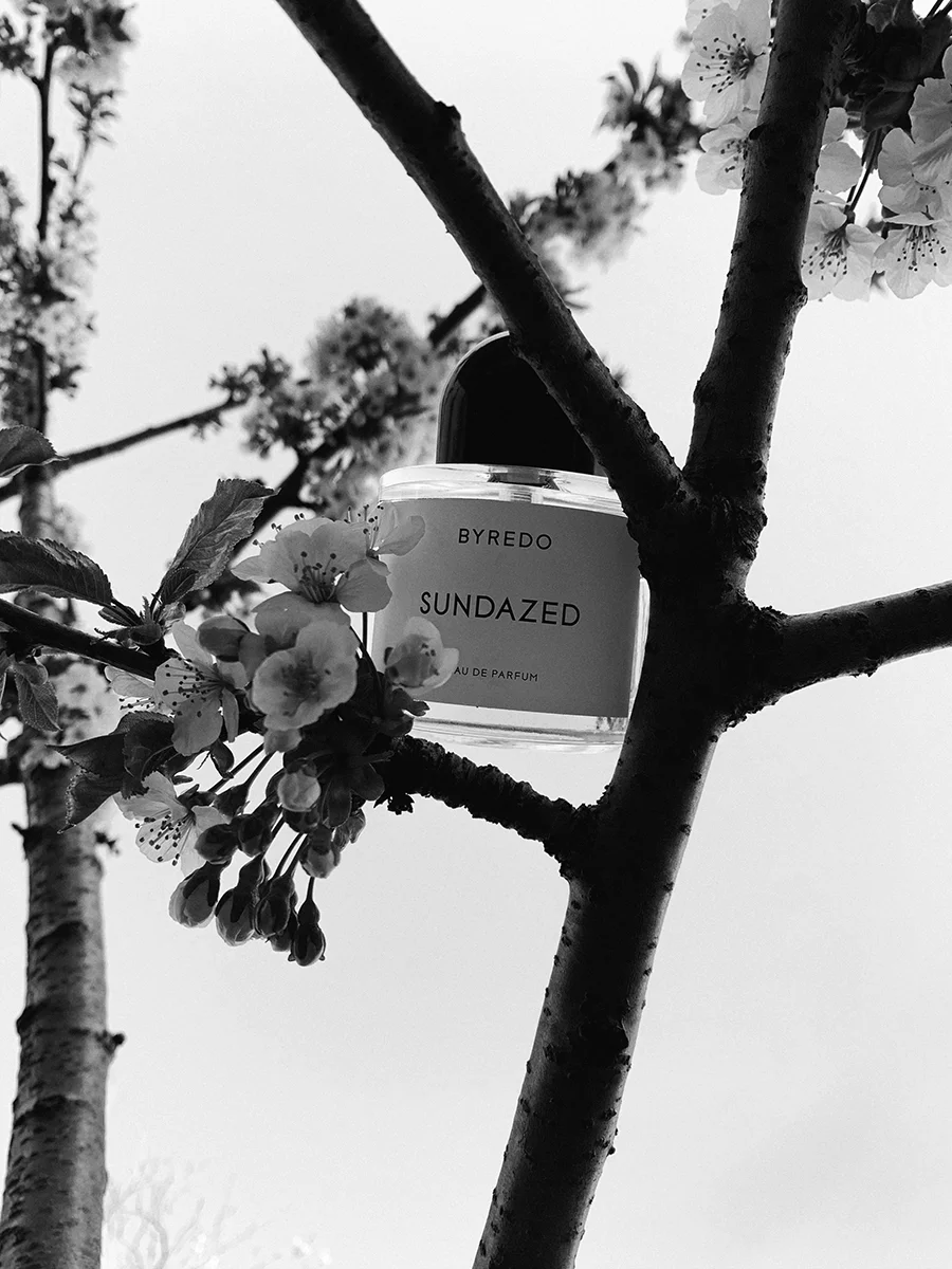 D09440BF-B068-4D91-B6F9-E4AD4C5E12D8.jpg