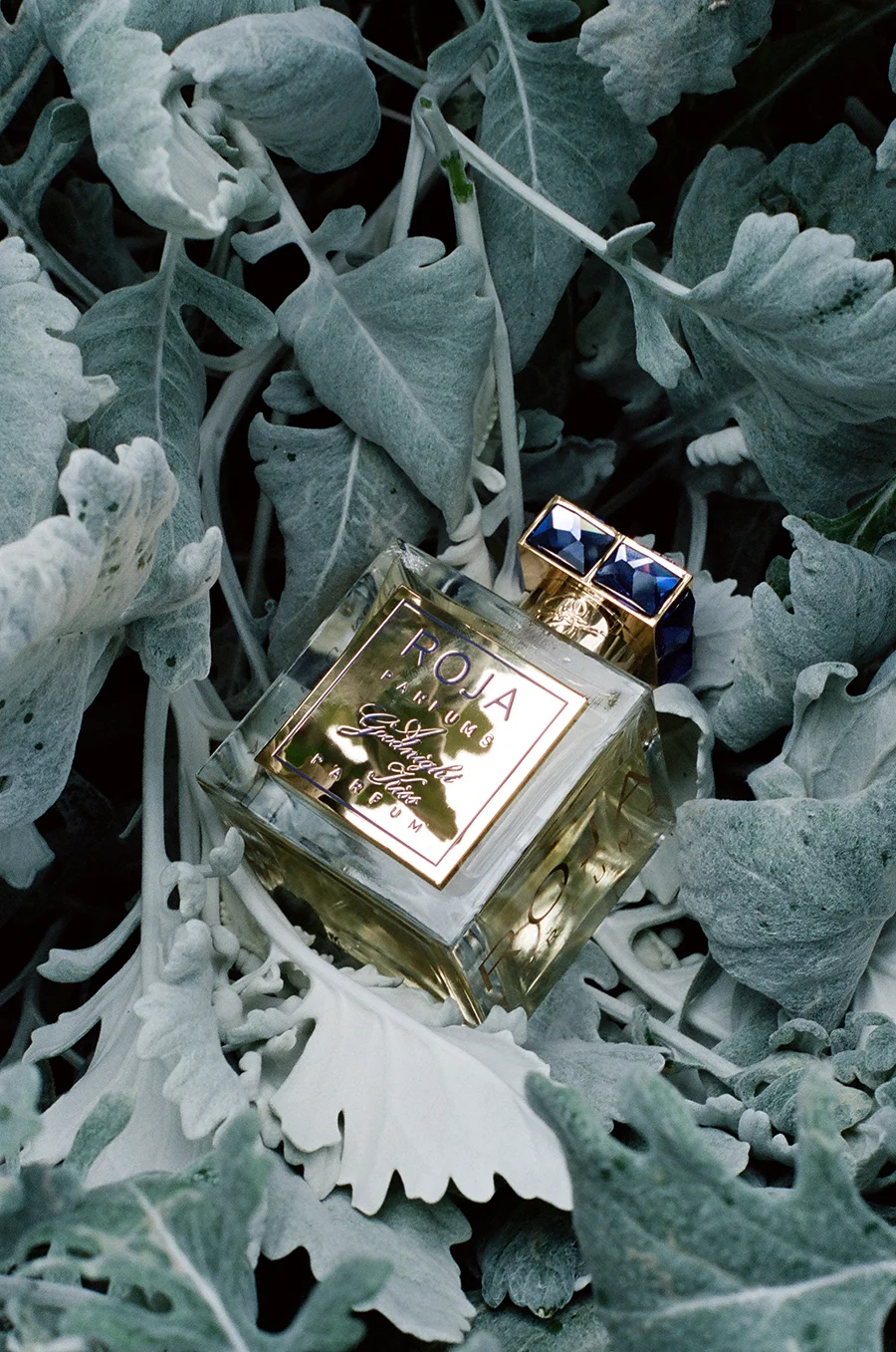 Roja Parfums | A Goodnight Kiss Parfum, Eau de Parfum 100ml - £1250.00