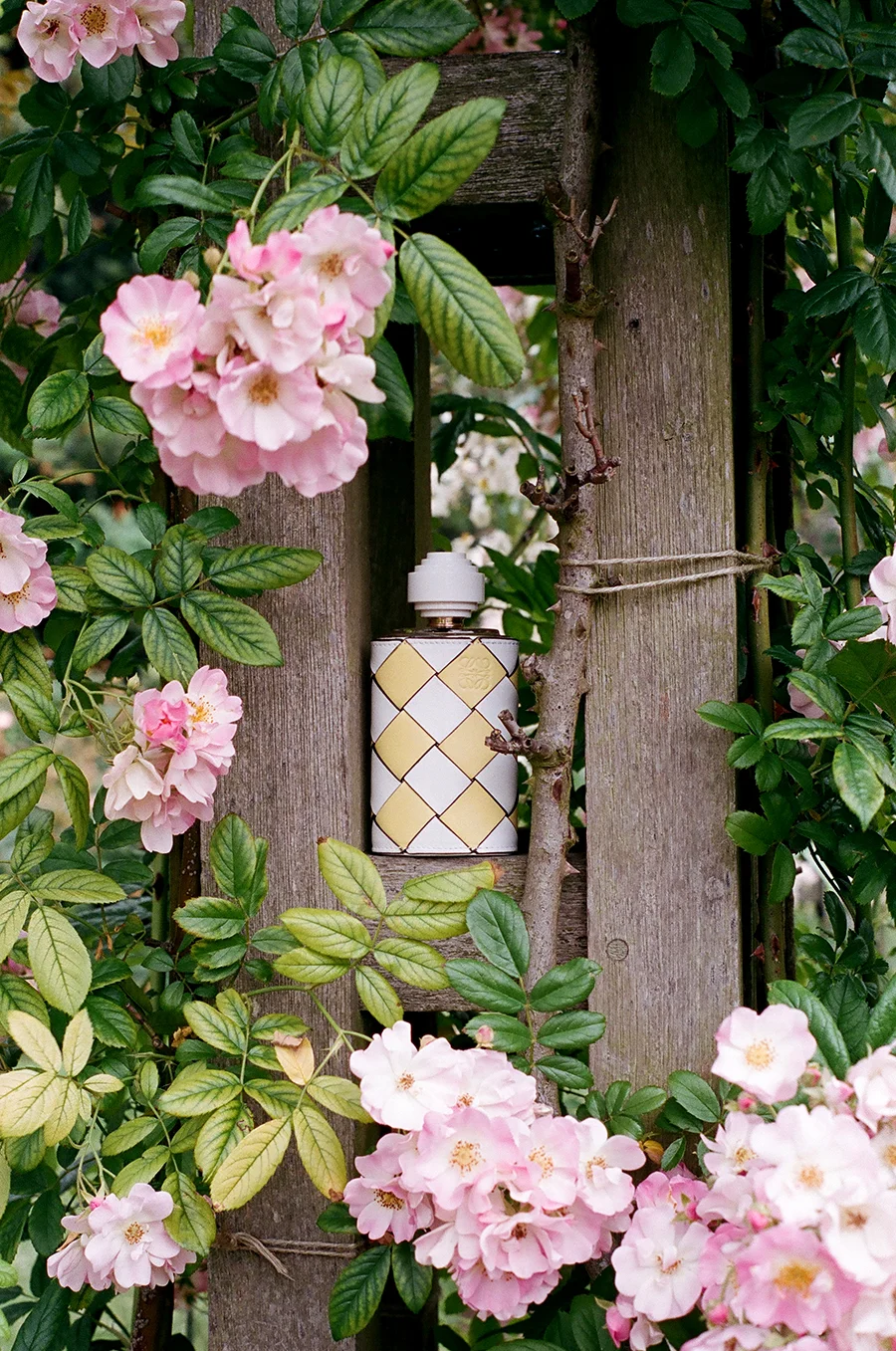 LOEWE | Paseando por la Calle Mayor, Eau de Parfum 100ml - £300.00