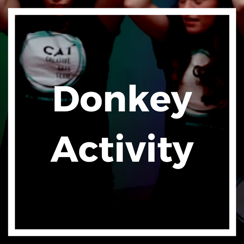 Donkey Activity(1).png