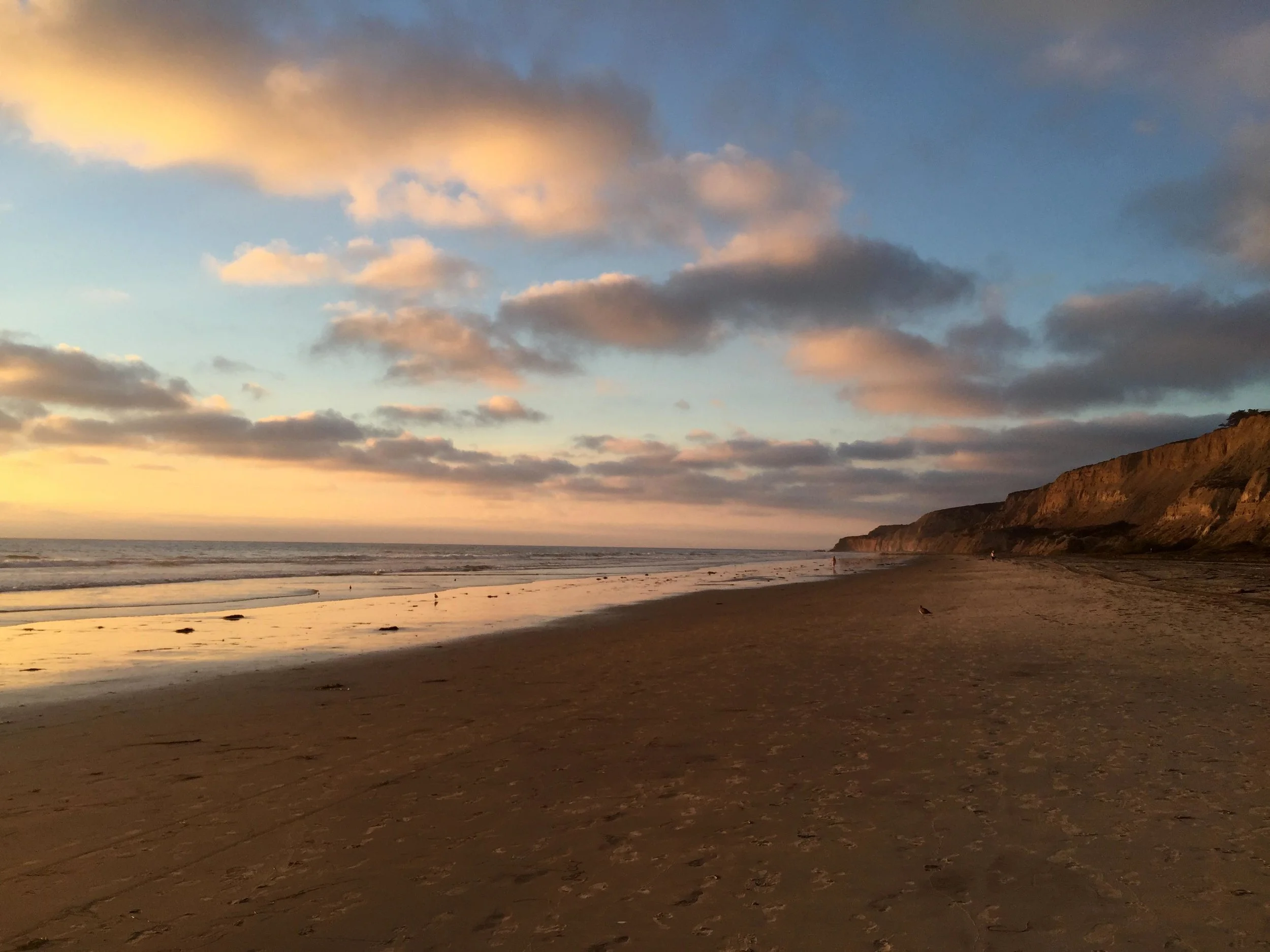 SD Beach & Cliffs LR.jpg