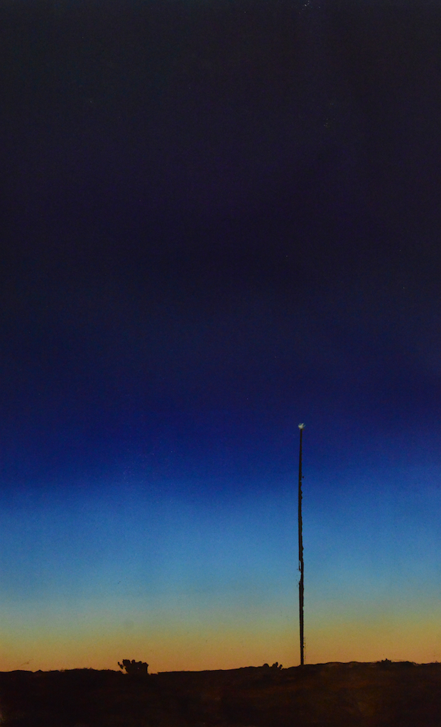 DSC_0038 (1).png