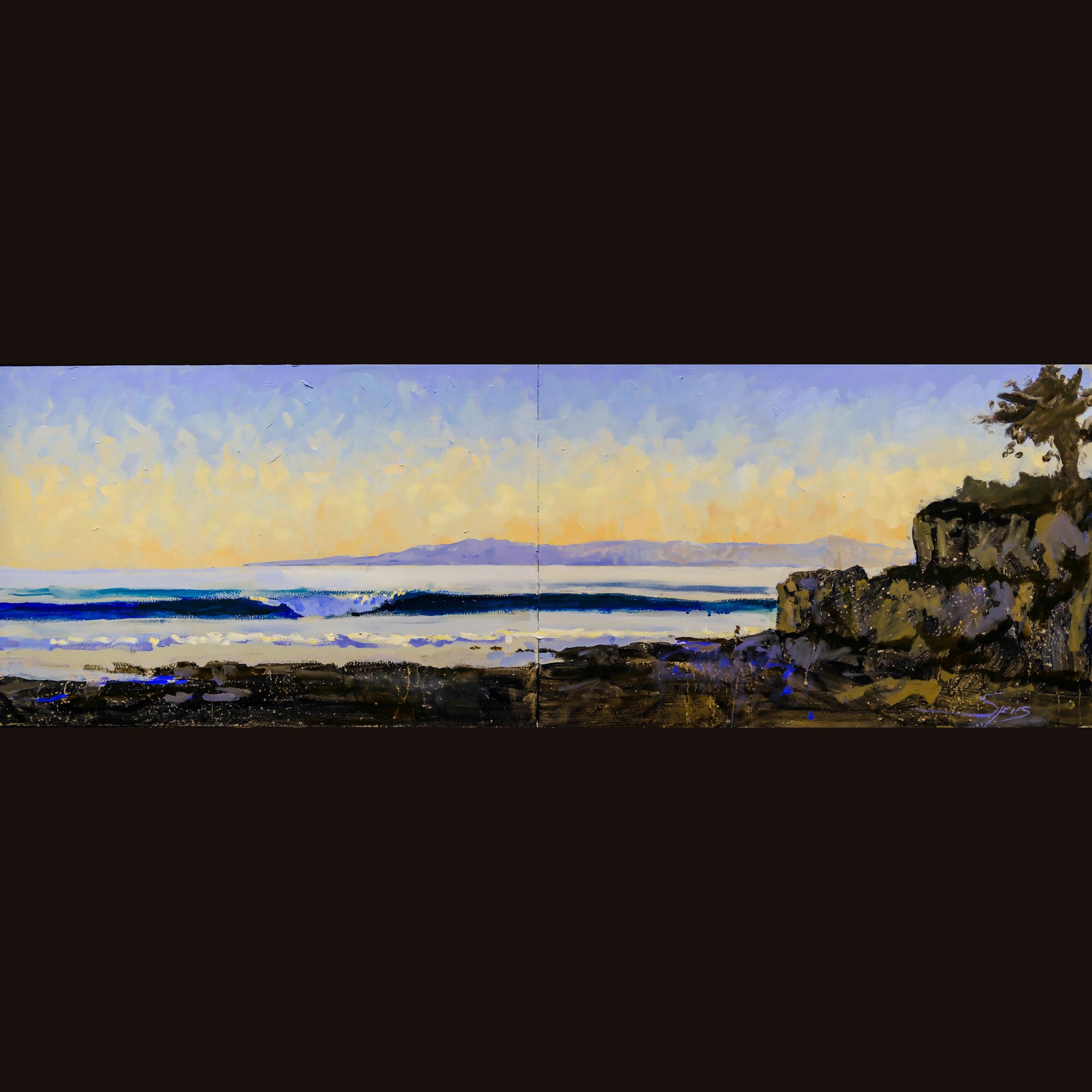 Carpinteria Sentinals