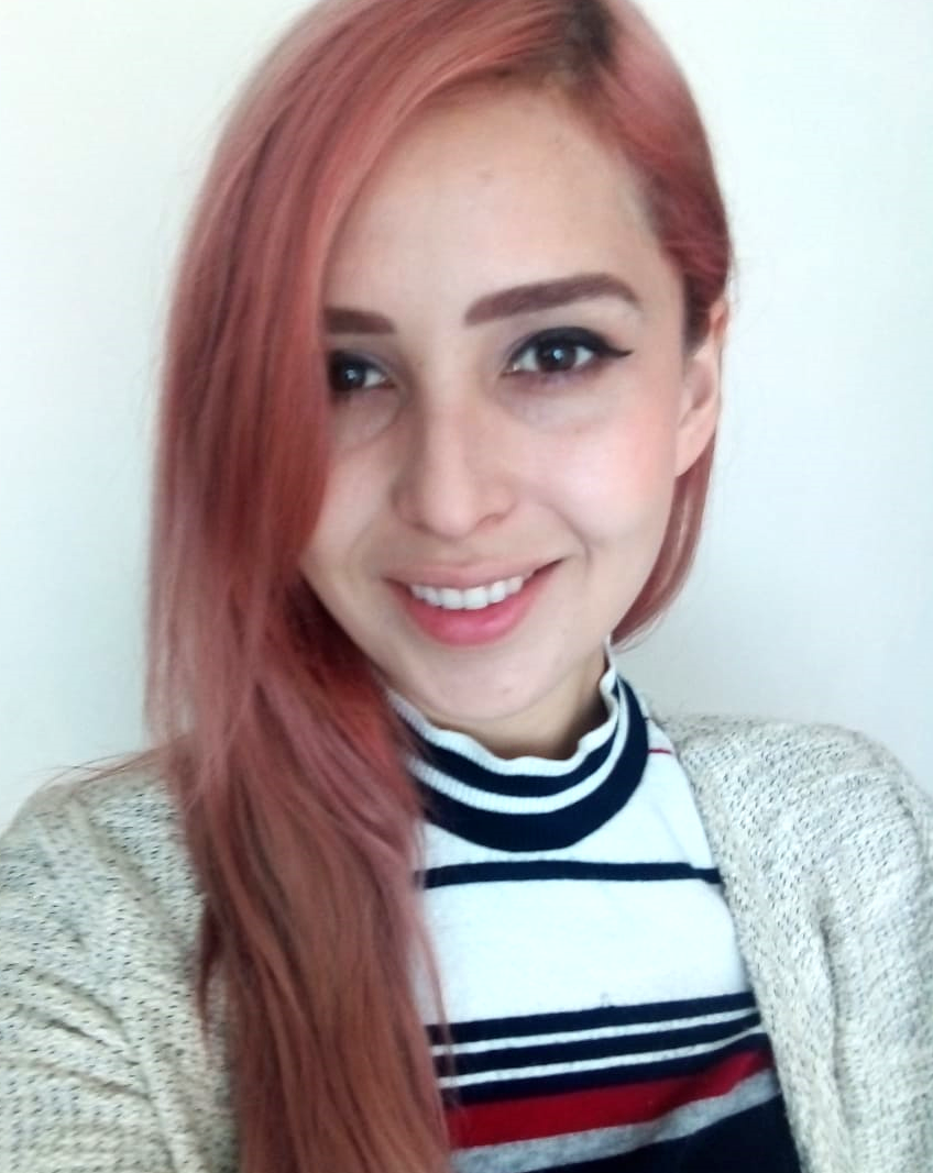 Minerva Castellanos - Minerva Castellanos.png