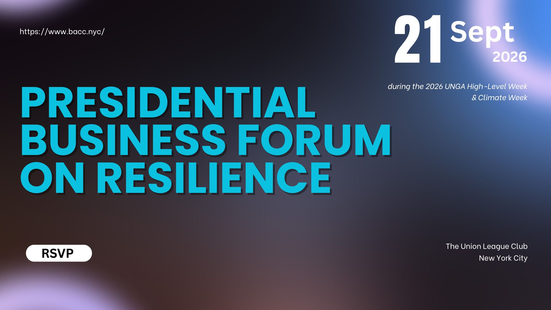 Presidential Business Forum on Resilience