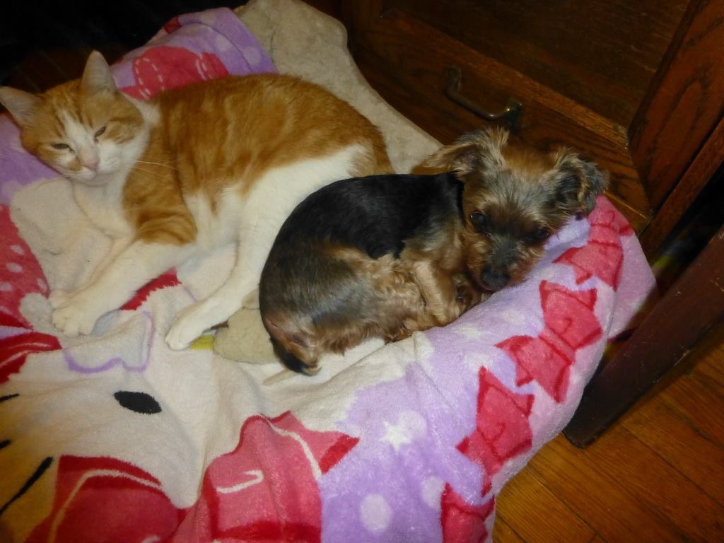 image2.jpeg