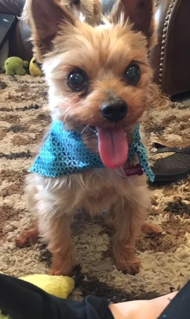 Happy Einstein 1.jpg