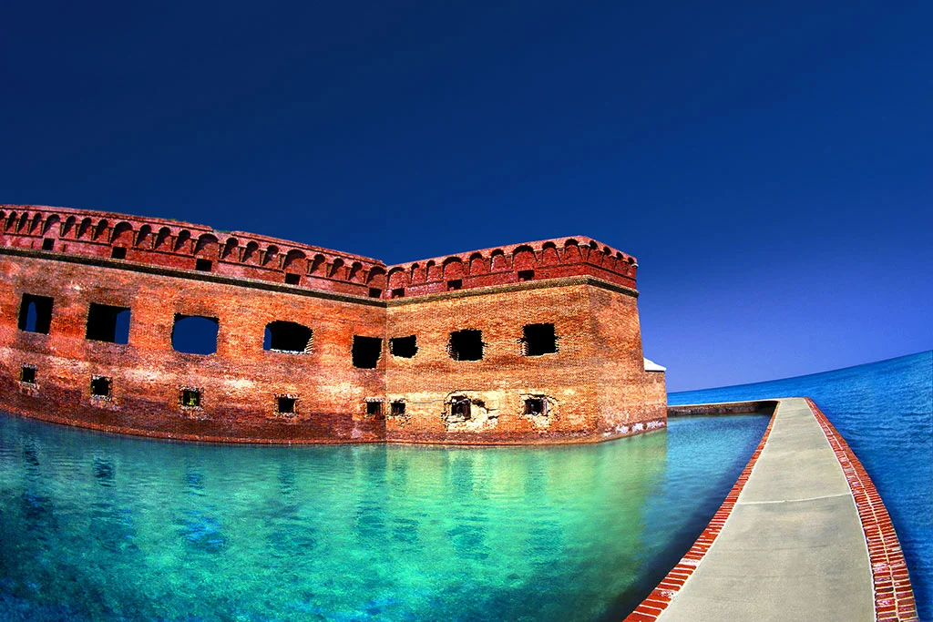 Tortugas 3.jpg