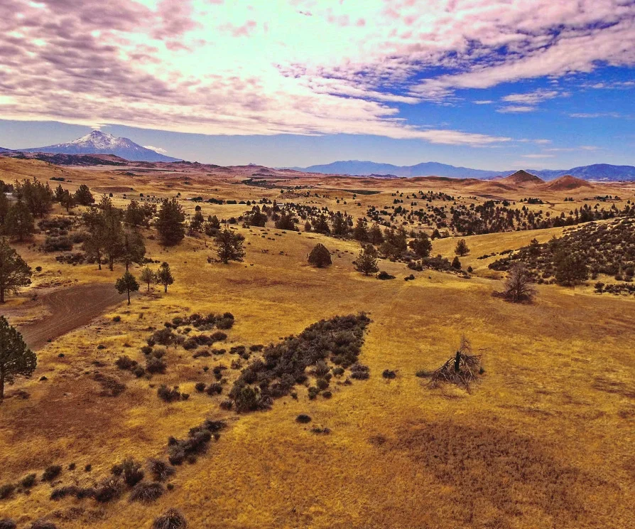 Drone Pic 1.jpg