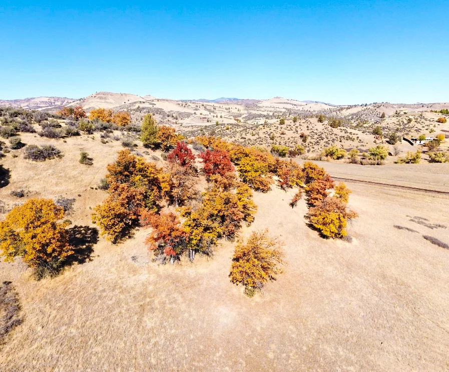 Drone Shot 5.JPG
