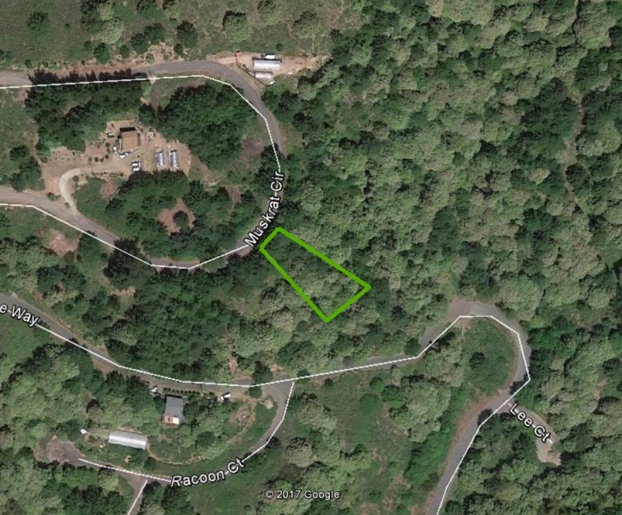 GE Overhead Zoom In.jpg