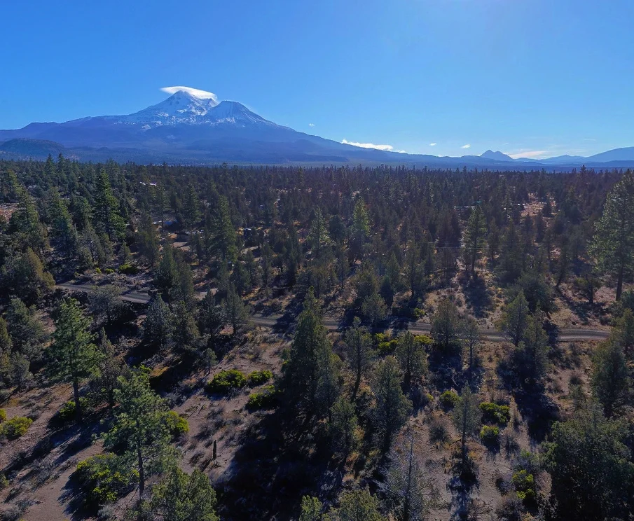 Drone Pic 1 Land For Sale Montague California.jpg