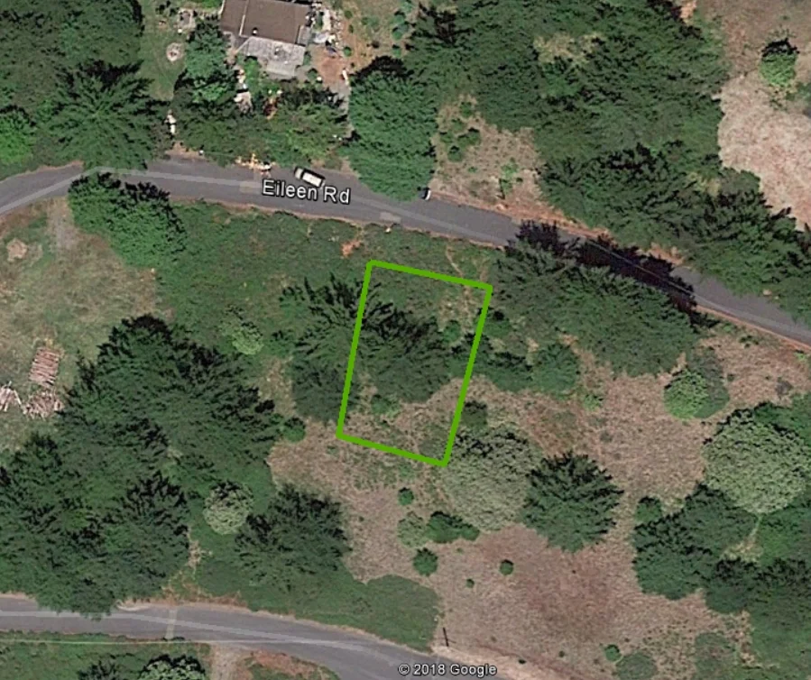 GE Overhead Shot Zoom In.jpg