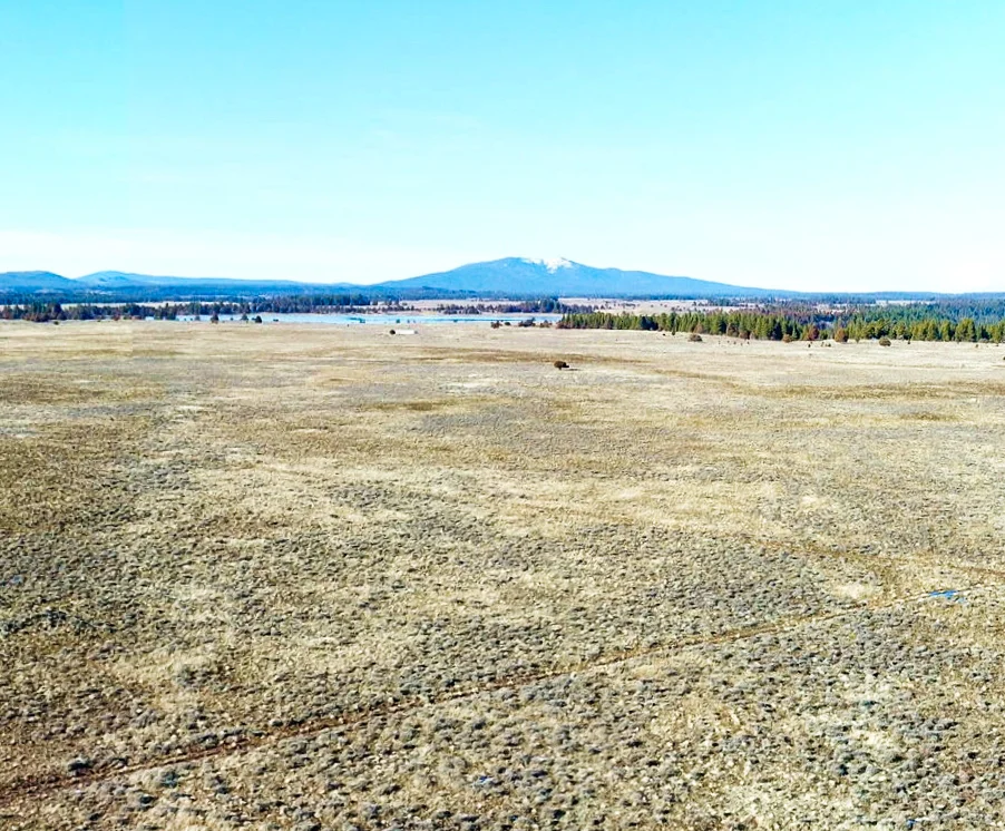Drone Shot 2 - Land For Sale - Oregon.jpg