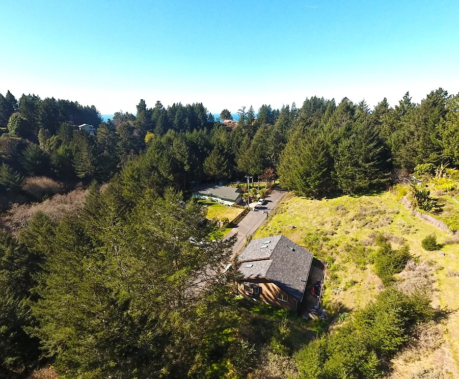 Drone Shot 1 - Land For Sale - California.jpg