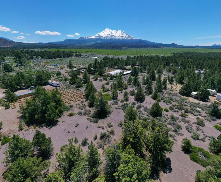 Drone Shot 1 - Land For Sale - Siskiyou County California.jpg