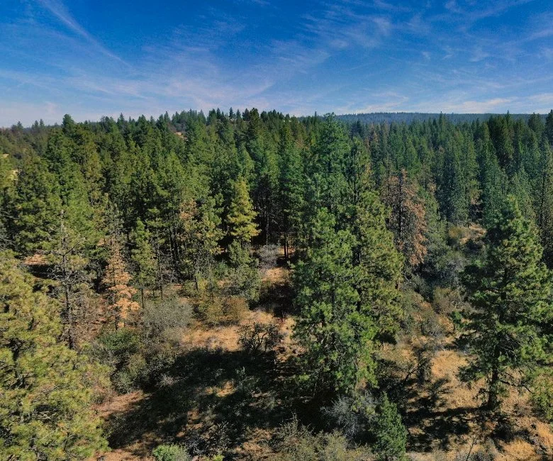 Drone Shot 4 - Land For Sale - Oregon.jpg