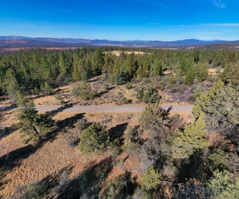 Drone Shot 2 - Land For Sale - Oregon.jpg