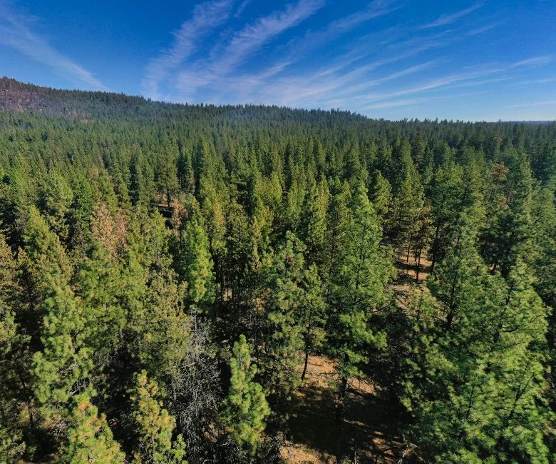Drone Shot 3 - Land For Sale - Oregon.jpg
