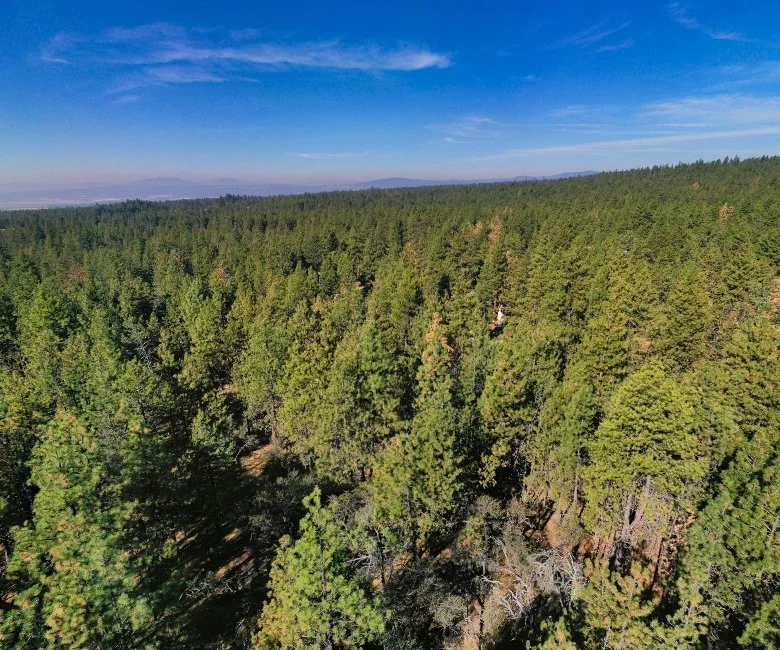 Drone Shot 4 - Land For Sale - Oregon.jpg