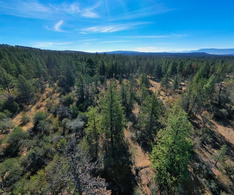 Drone Shot 3 - Land For Sale - Oregon.jpg