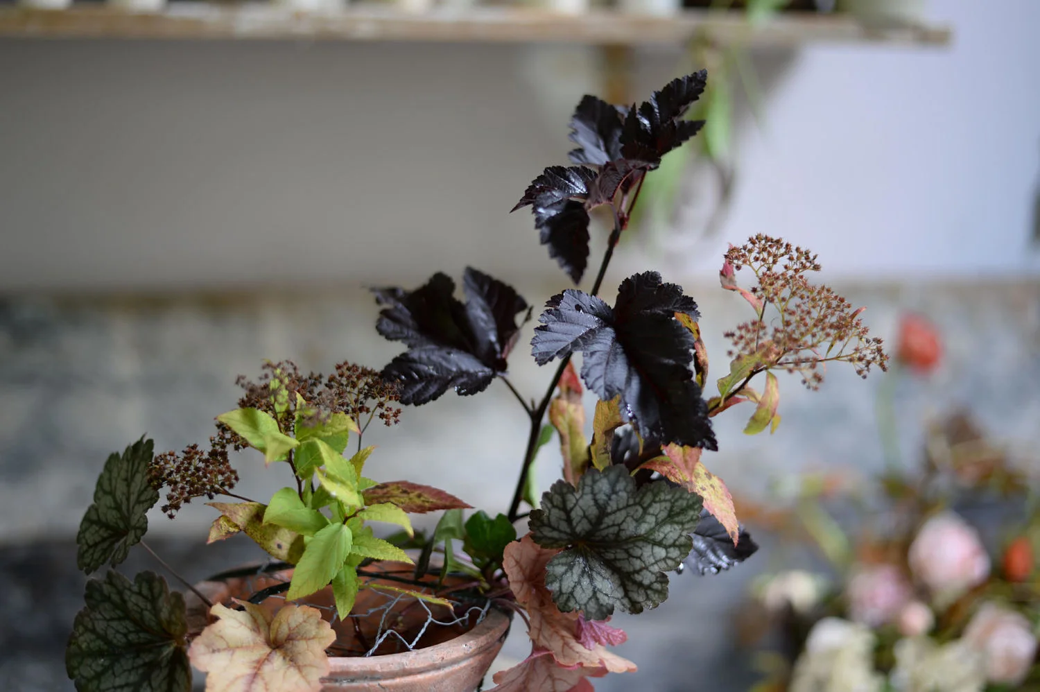 blumen_workshops_osnabrueck_opt.jpg