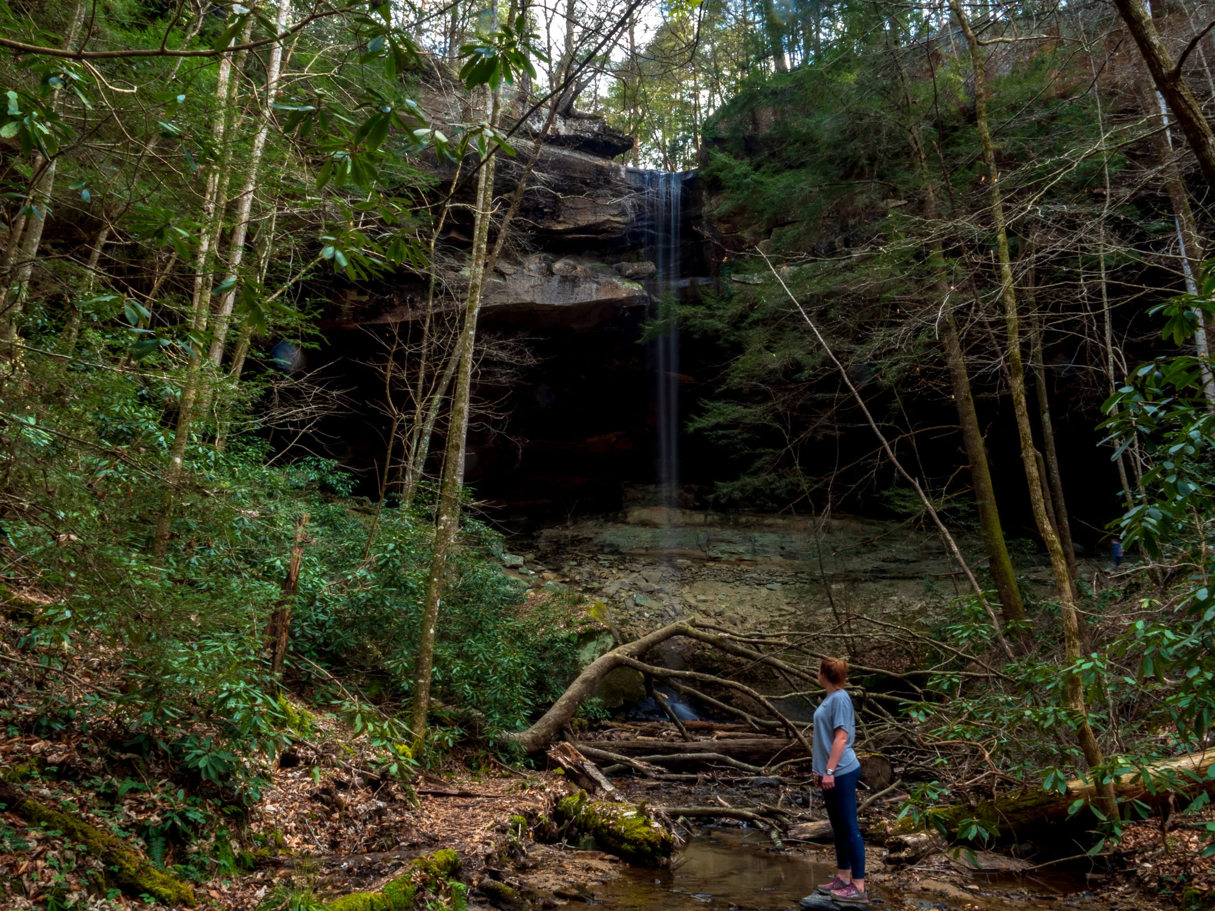 20190406-P4060154.jpg