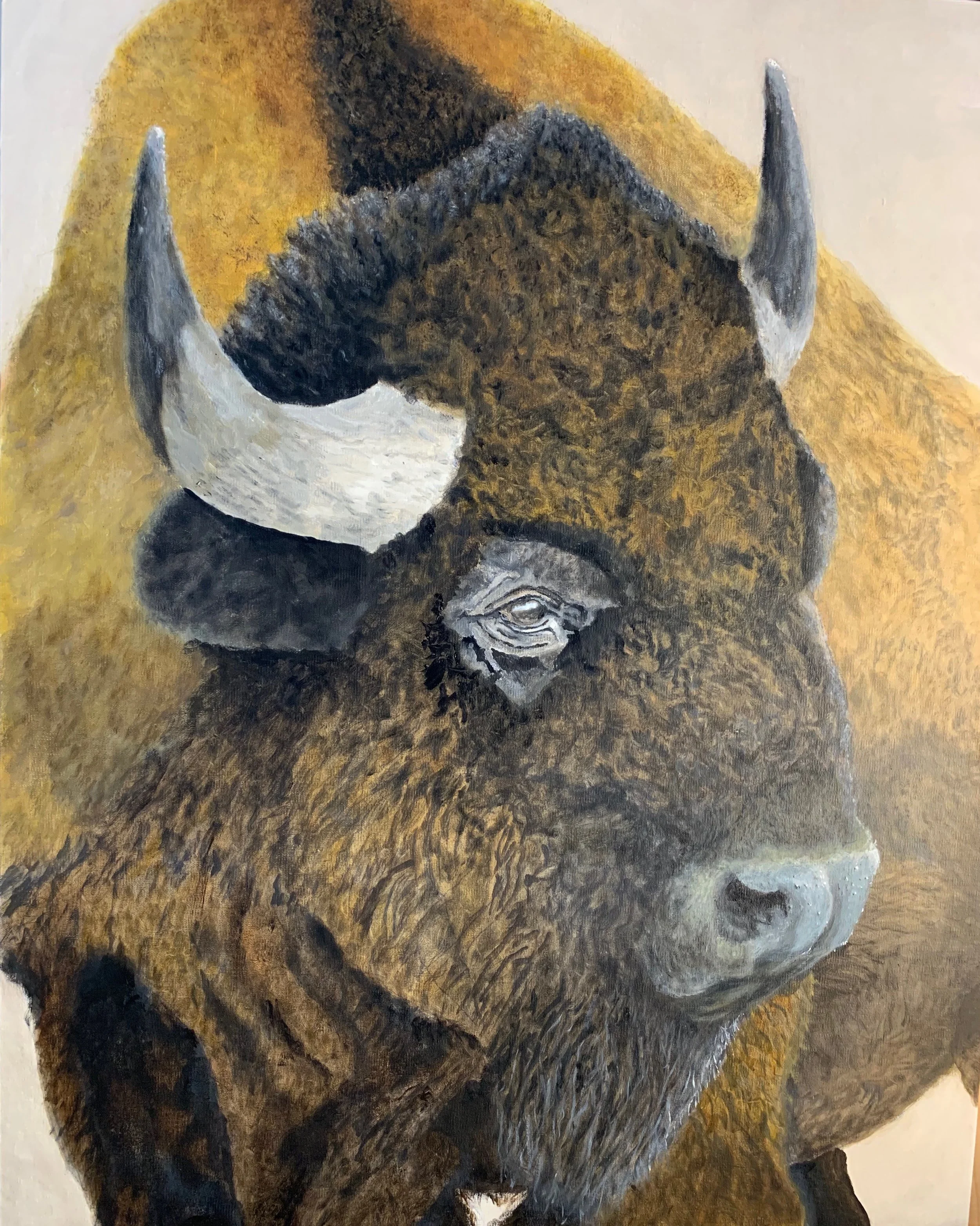 Buffalo Pride.jpeg