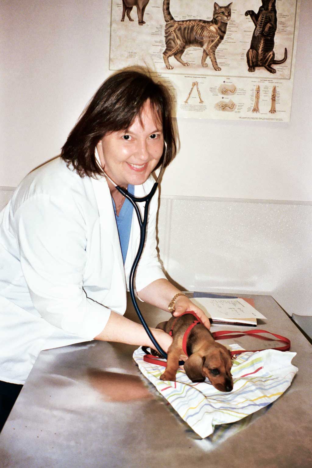 Longstanding history of exceptional vet care