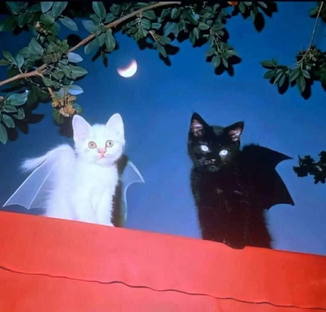 Tarot & Astrology Readings for Eclipse Season