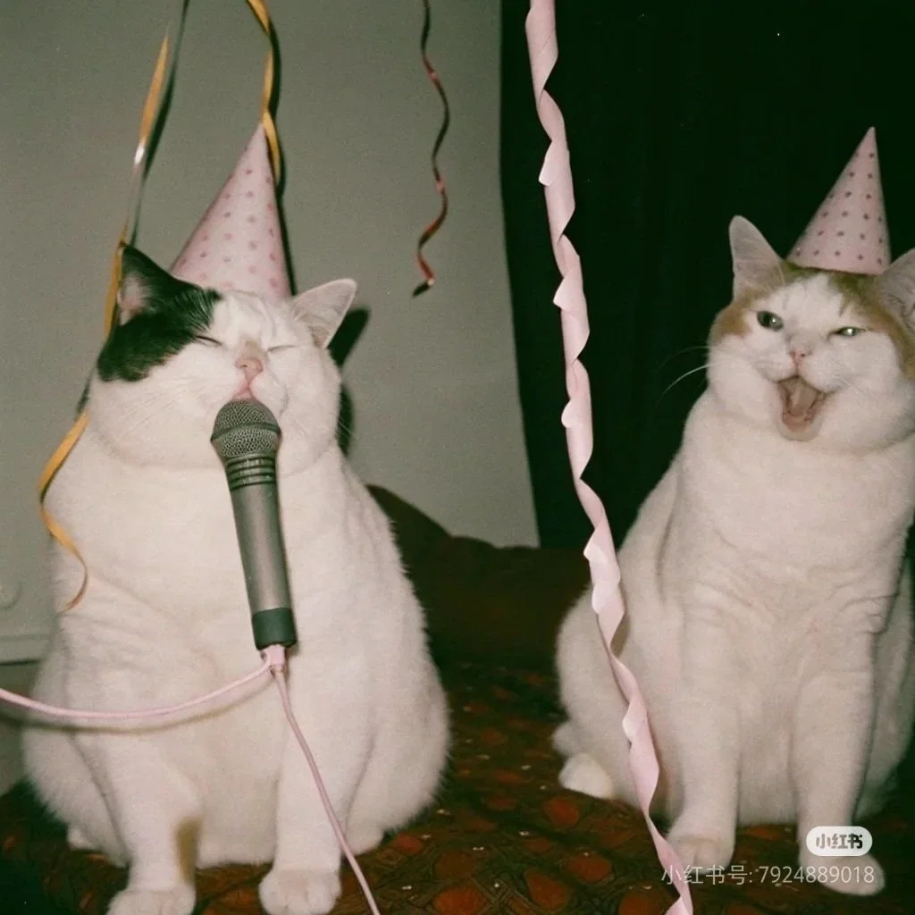 Open Mic Night