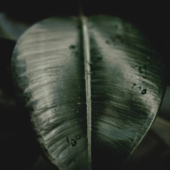 The Architecture of Resentment with Aubrey Aust