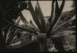 Pours &amp; Prints Photography Show by Julie Becker