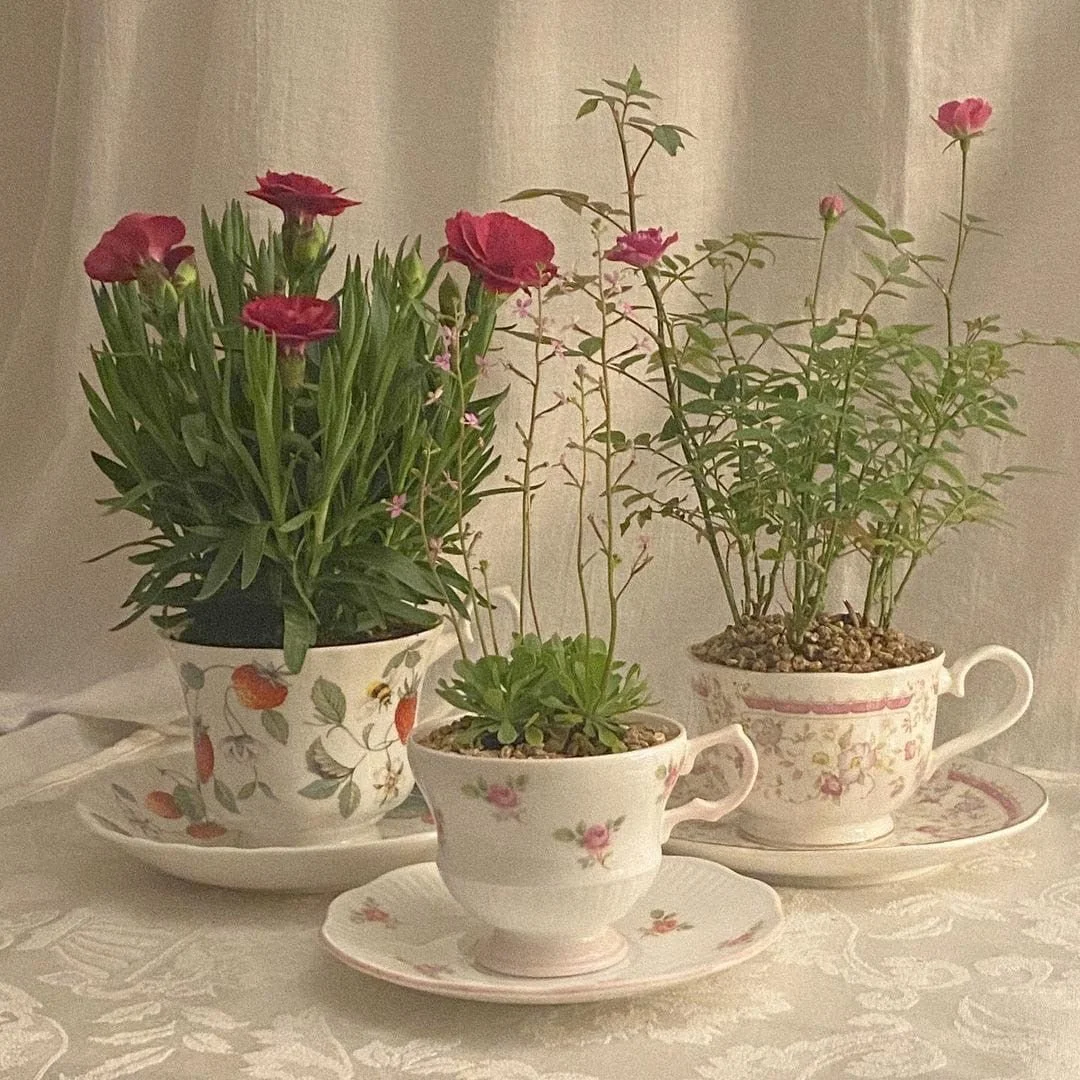 Thrifty Cat: Antique Cup Safety &amp; Repurposing Seed Sale