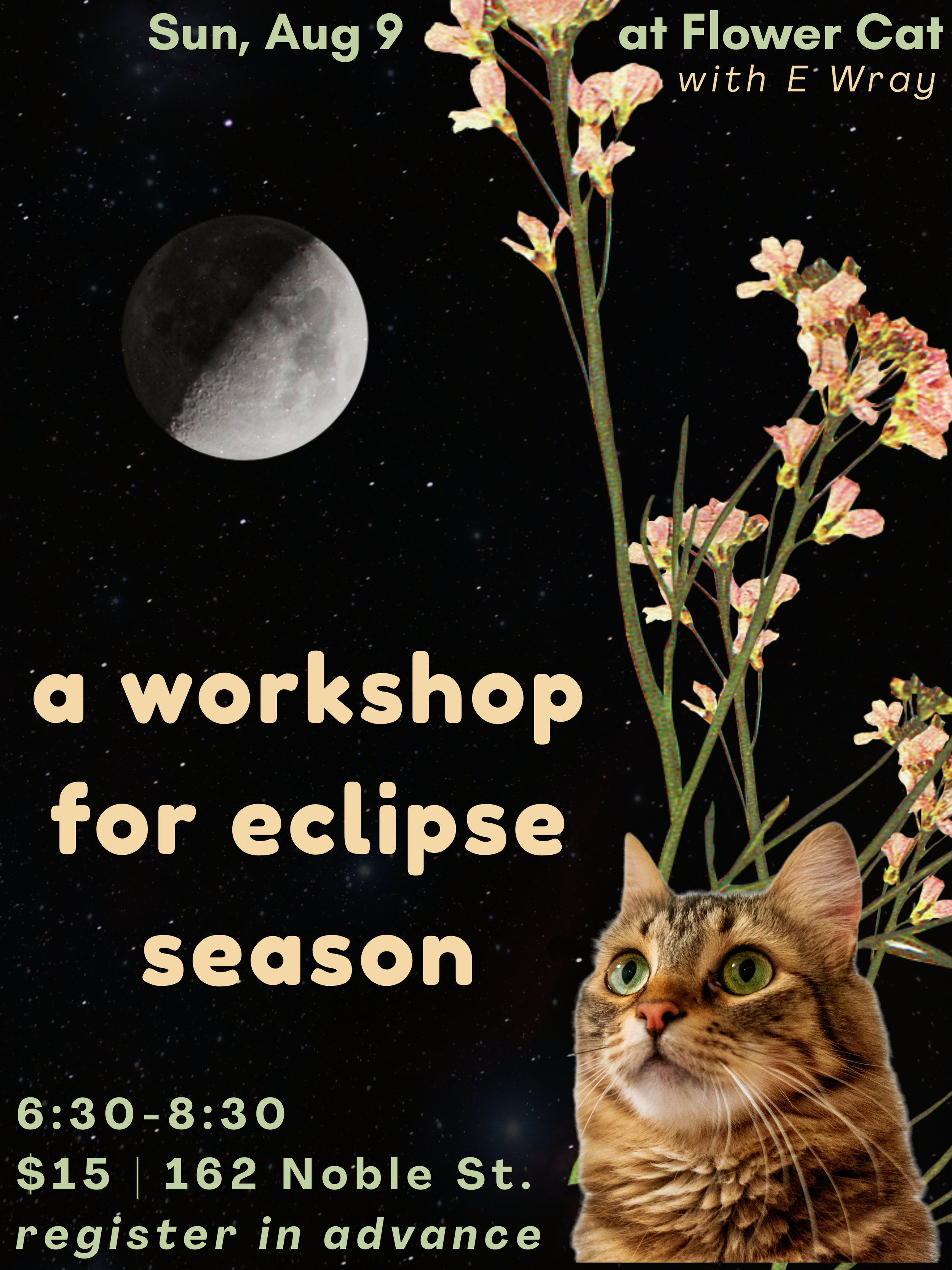 Navigating Eclipse Season Workshop with E Wray