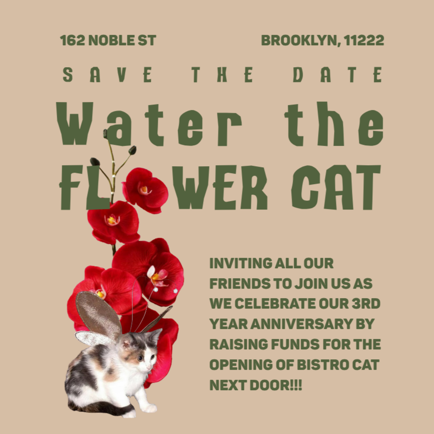 Water The Flower Cat Fundraiser Festival 