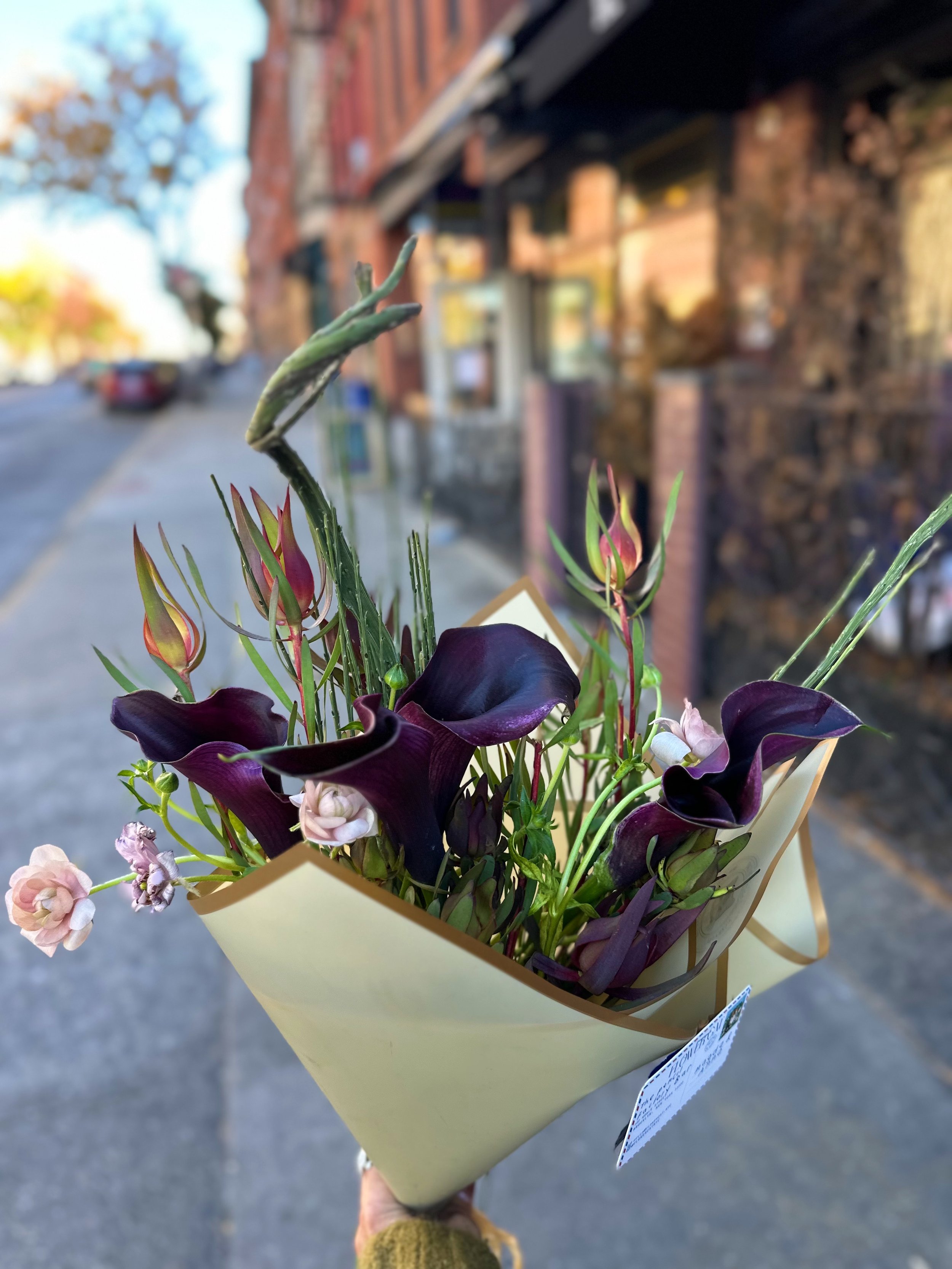 FullSizeRender_VSCO 23.JPG