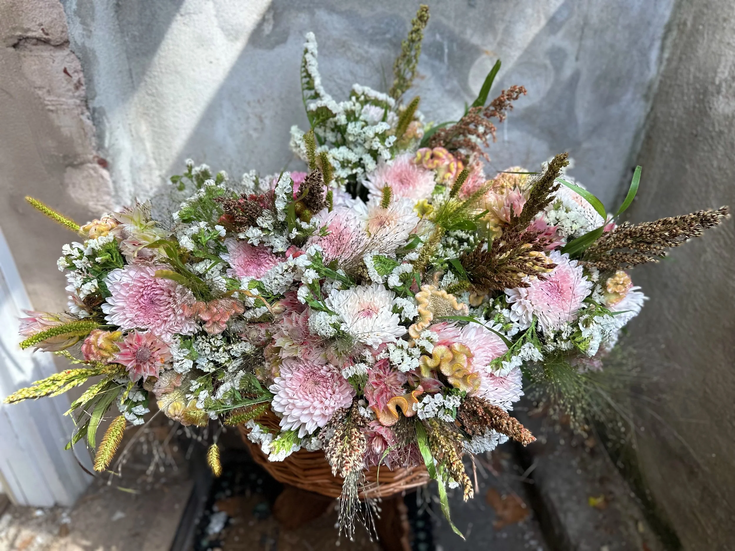 FullSizeRender_VSCO 22.JPG