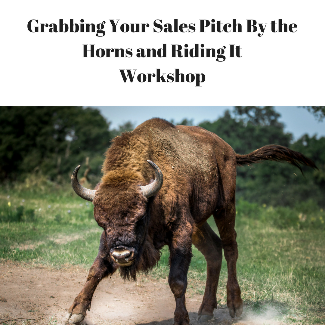 Grabbing Your Sales Pitch By the Horns and Riding ItWorkshop.png