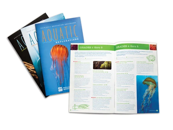 MAEducationBrochure_large.jpg