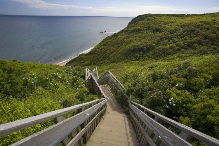 Stairs at The Bluffs (MM).JPG