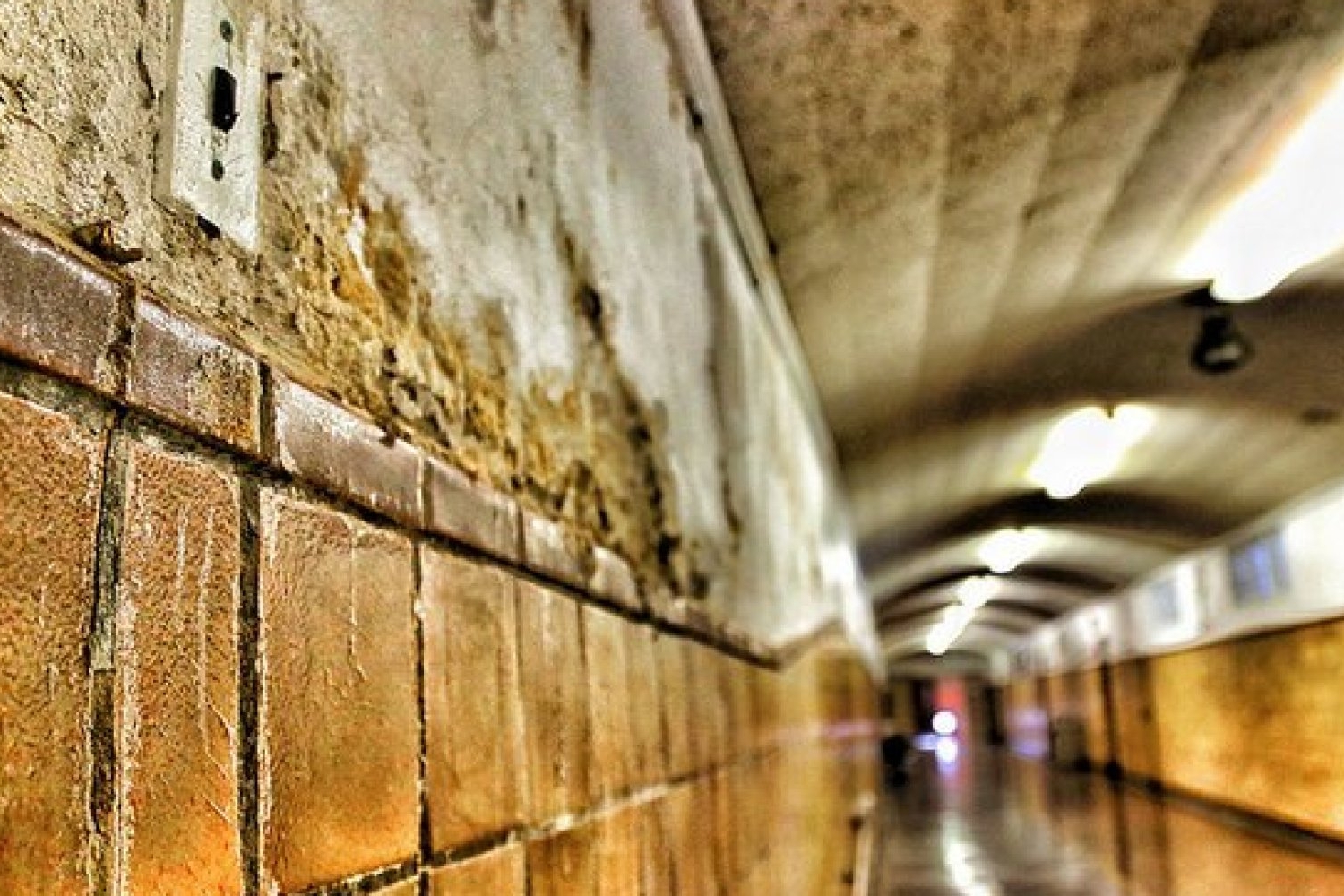 o-HALLWAY-facebook.jpg