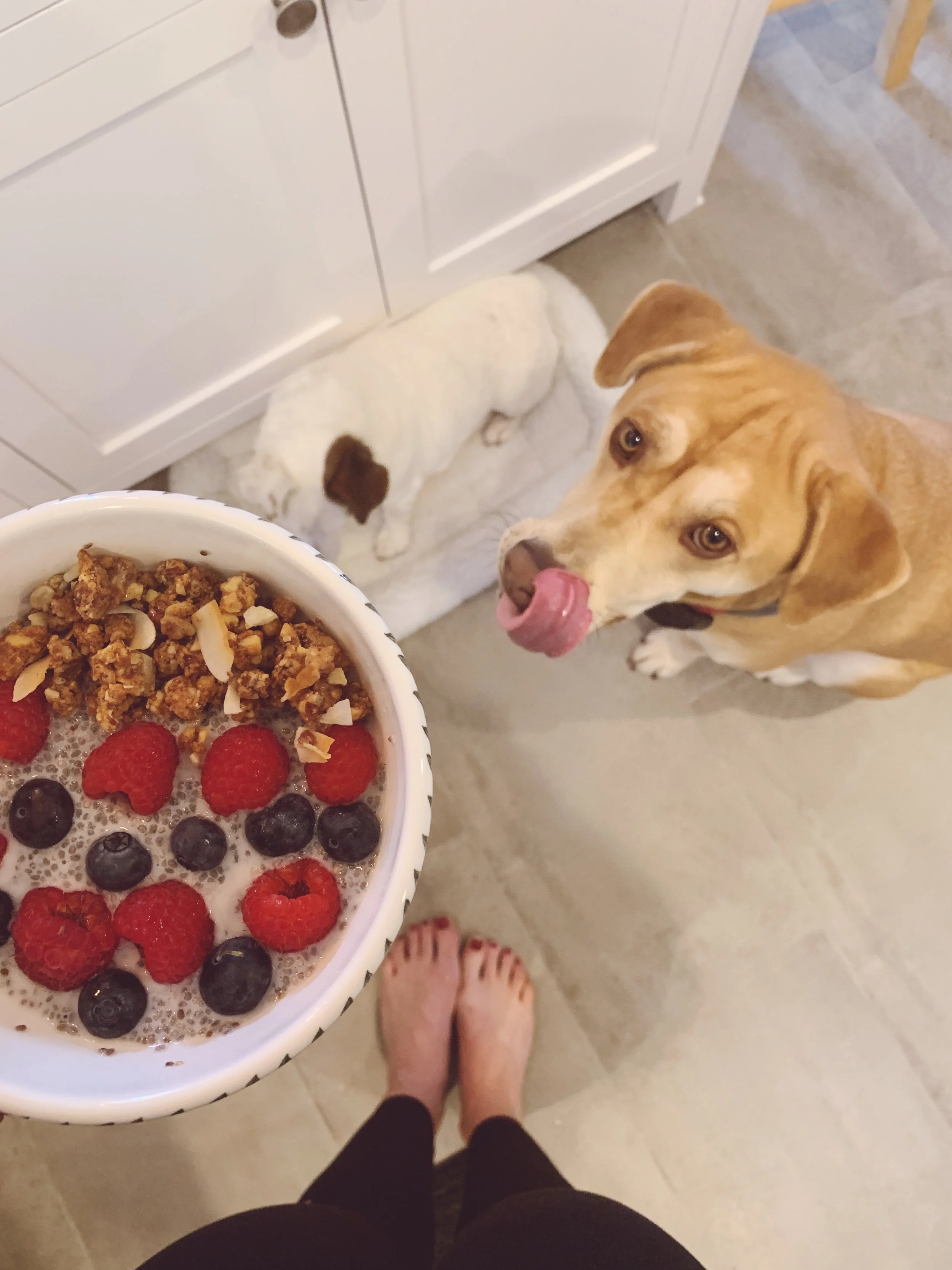 Easy Chia Pudding Recipe 